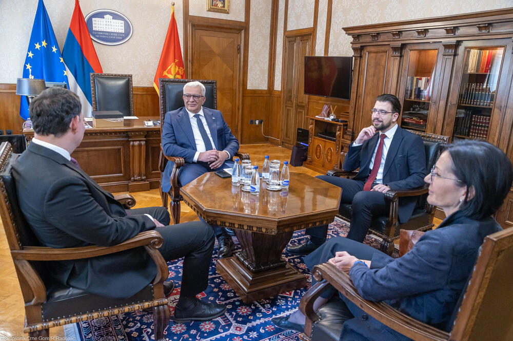 Mandić: Crna Gora posebno cijeni podršku Slovenije u institucijama EU u procesu pristupanja