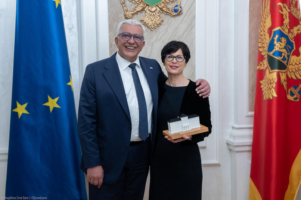 Mandić sa Kos: Crna Gora na završnoj dionici svog puta ka članstvu u EU