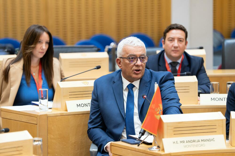 Mandić: Transparentnost parlamenta alat za članstvo u EU