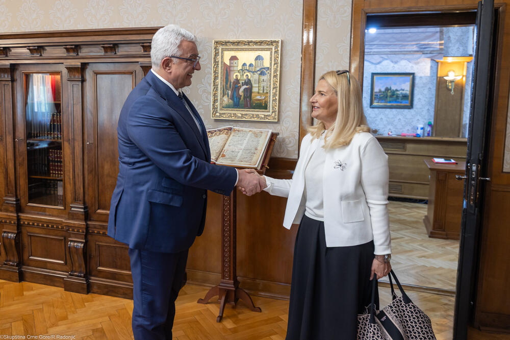 Mandić: Visok stepen političke zrelosti i saglasnosti vlasti i opozicije oko punopravnog članstva u EU