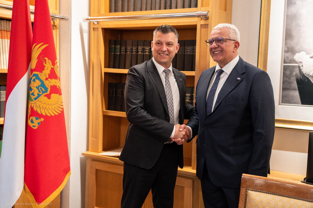 Mandić: Zbližavanje malih država ključno za njihov snažniji glas u međunarodnoj zajednici