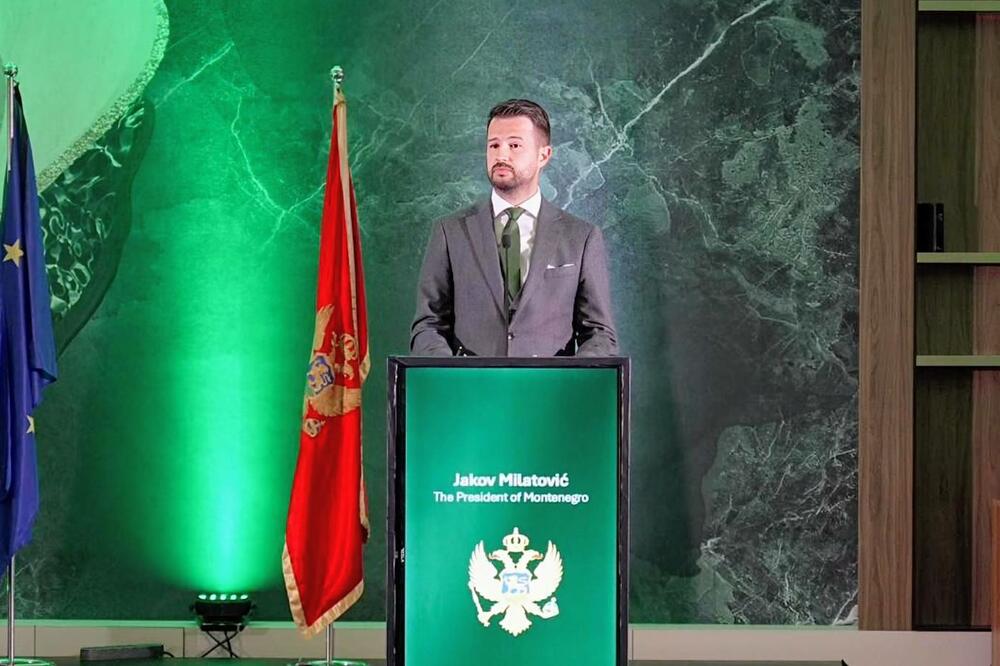 Milatović: Irsku i Crnu Goru ujedinjuju zajedničke vrijednosti i snažna vjera u evropsku budućnost