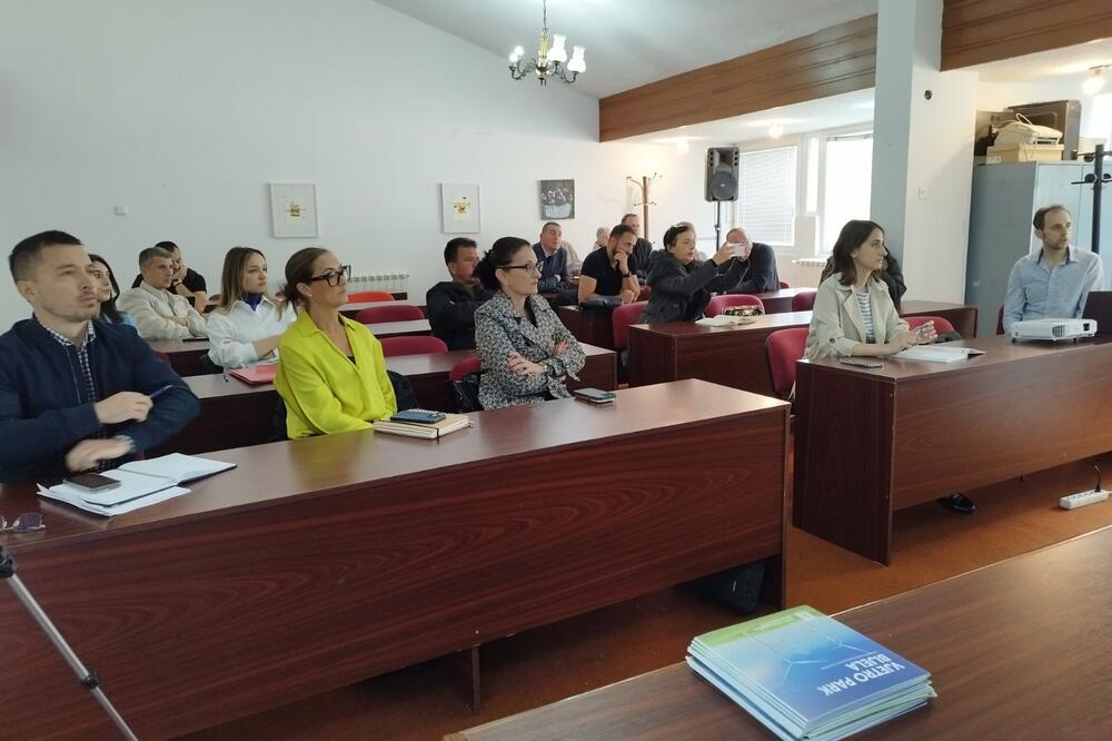 Mještani sela Gornja Brezna iz Pive ne žele dalekovode i trafostanicu na svojim imanjima
