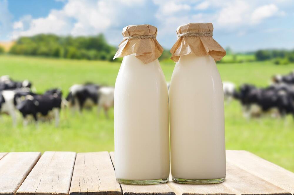 Mljekare "Nika" i "Lazine" i zvanično ne otkupljuju mlijeko