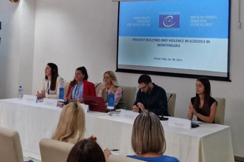MPNI sprovodi projekat "Prevencija nasilja u školama u Crnoj Gori"