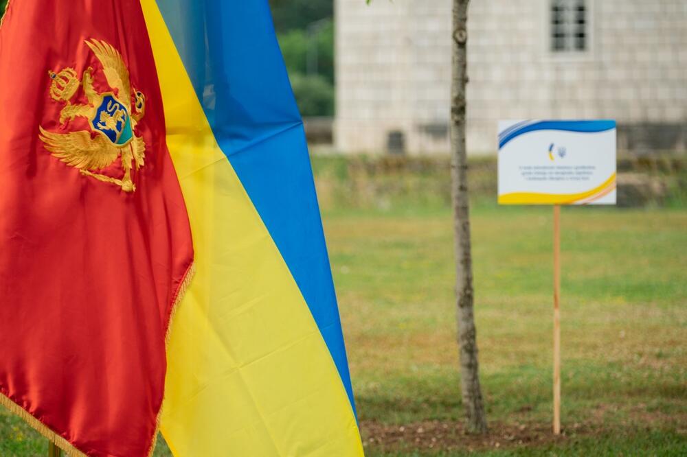 Na Cetinju posađeno drvo crnogorsko-ukrajinskog prijateljstva