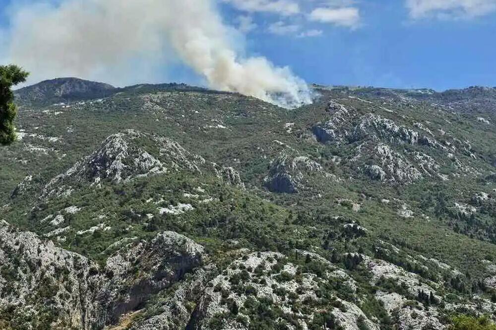 Na Lovćenu novi požari, stari se ponovo rasplamsao zbog vjetra (Foto)