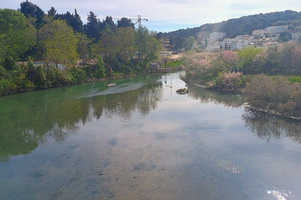 Na Port Mileni zid, most, pa tek onda fekalije