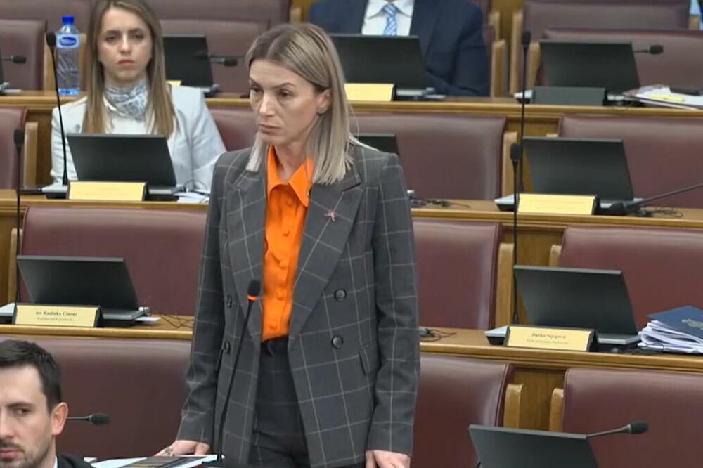 Nakon kritika koje je izazvala izjava Strujić Harbić, iz BS tvrde da je Crna Gora njihova matična država