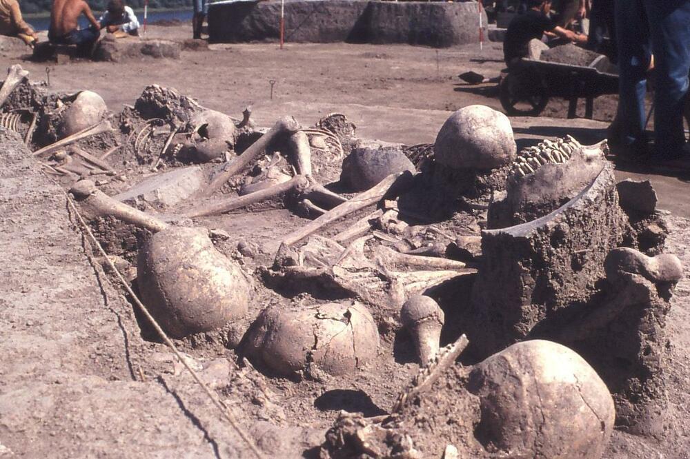 Nasilje i smrt u bronzano doba: Otkrića iz drevne masovne grobnice u Srbiji