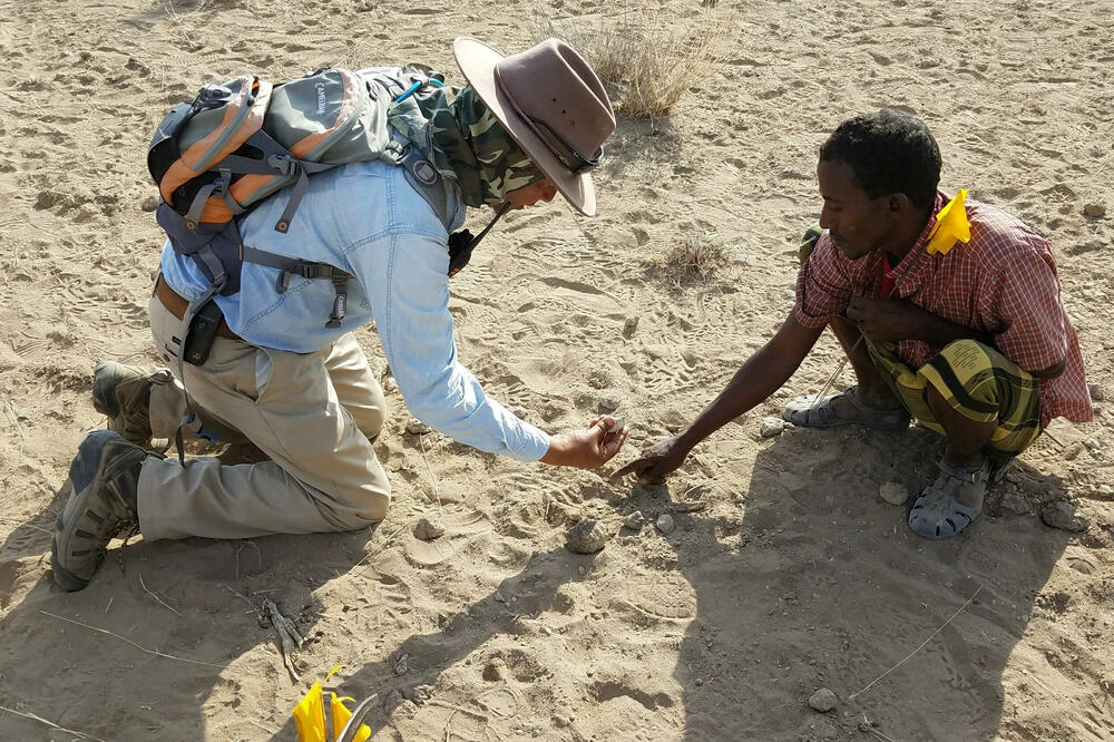 Naučnici tvrde da su riješili misteriju praistorijskog "Burtele stopala"