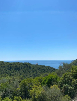 Neurbanizovan plac 1200 m² sa pogledom na more u Luštici