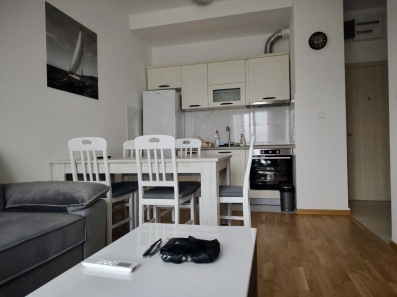 Neuseljavan jednosoban stan, Zabjelo