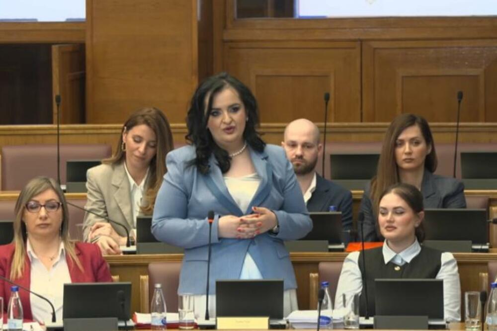 Nišić: Povećanje roditeljskog odsustva na 14 mjeseci pozitivna mjera