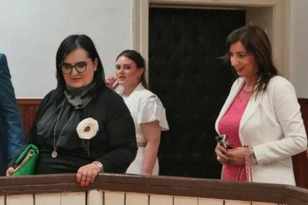 Nišić se zadužila, Jakšić Stojanović prihodovala i u komisijama
