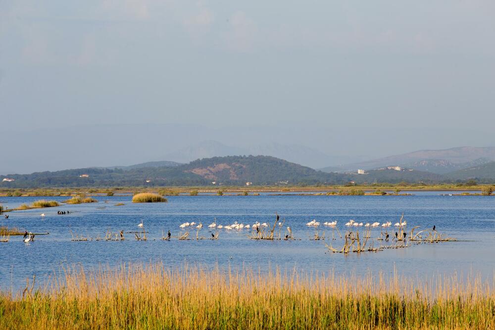 Obnovili bi proizvodnju soli u Solani: Dvije kompanije uputile pismo namjere za ulaganje i dugoročnu koncesiju