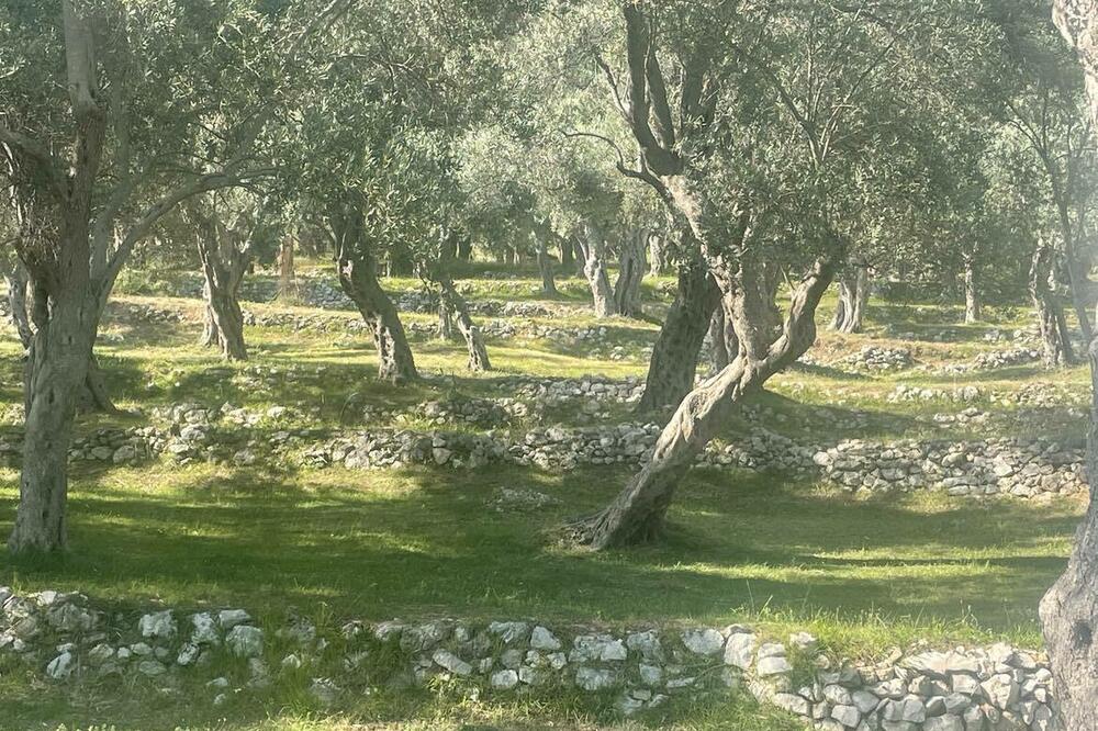 Obnoviti formiranje naselja "Valdanos": O zahtjevu će raspravljati na sjednici SO Ulcinj zakazanoj za 27. mart