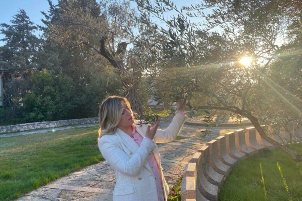 Obradili 100 tona maslina i 16 tona ulja