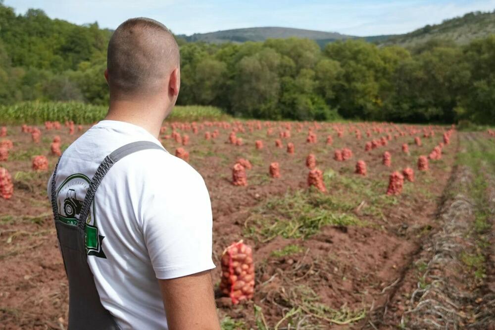 Od gradskog dječaka do &bdquo;kralja krompira&rdquo;