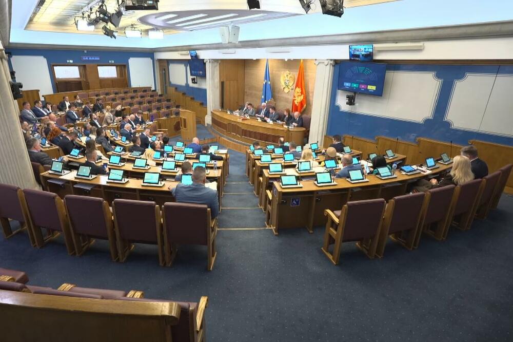Odbijen predlog DNP-a da se na dnevni red uvrste izmjene Zakona o amnestiji, Knežević: Poći ćete vi u zatvor