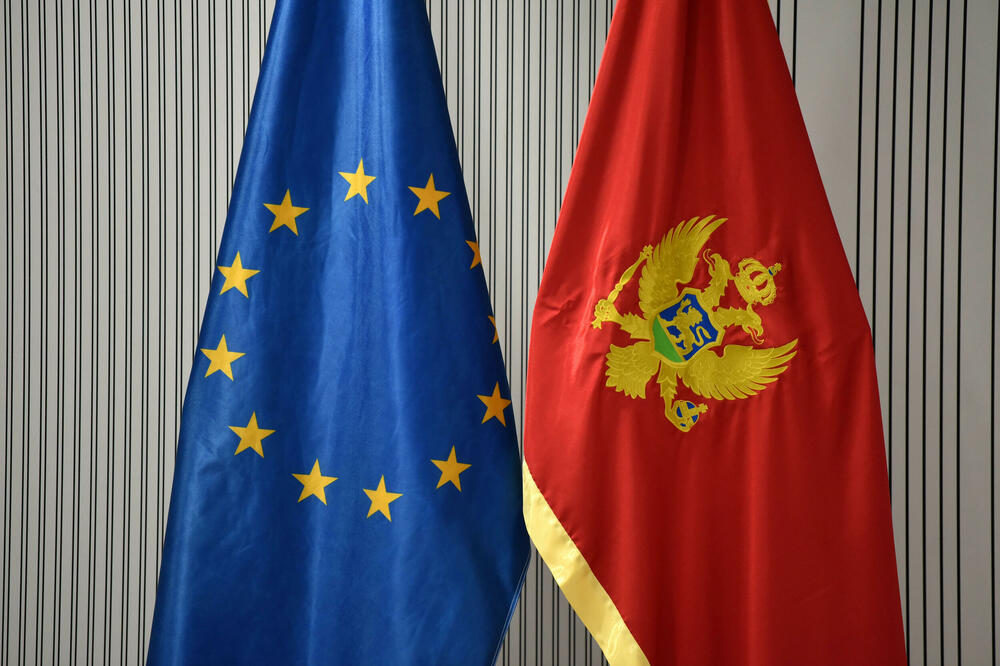 Odbor Evropskog parlamenta usvojio izvještaj Šareca o Crnoj Gori: Političke razlike da ne odgađaju reforme