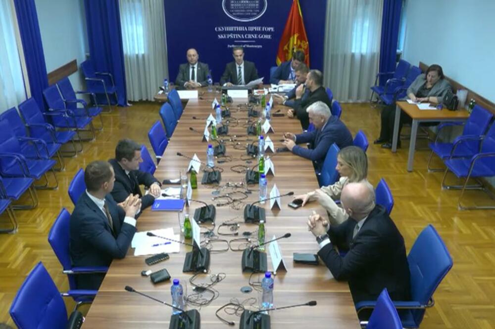 Odbor za ekonomiju zakazao saslušanje o cijenama goriva za 26. mart