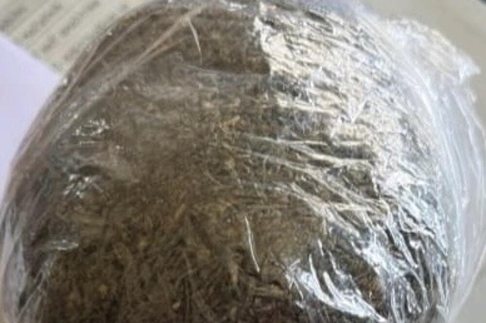 Oduzeto skoro 200 grama marihuane, procesuirane četiri osobe u Budvi, Nikšiću i Pljevljima