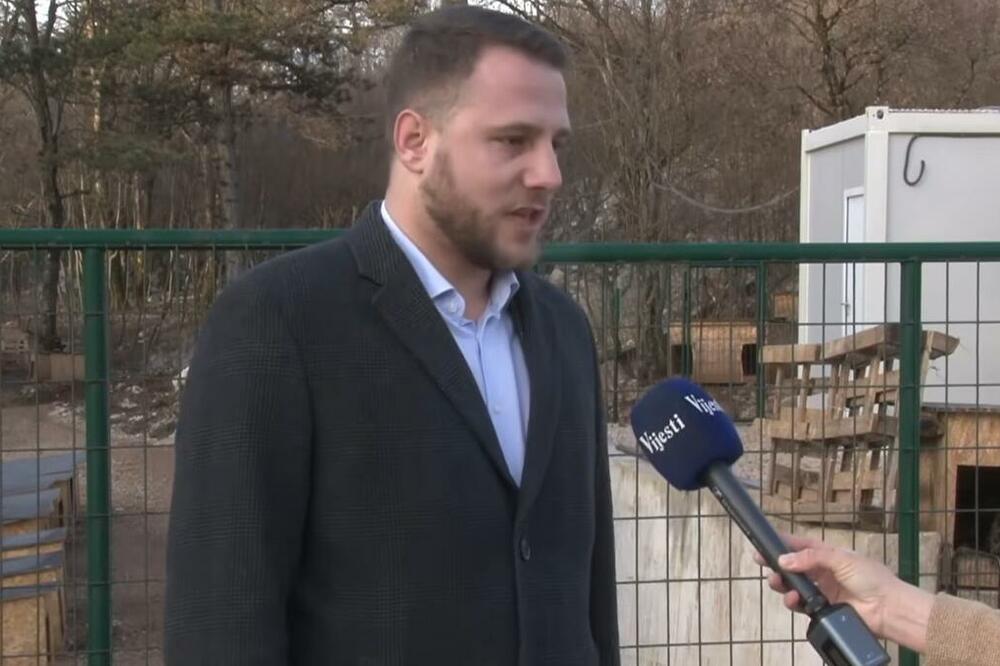 Opština Nikšić od početka godine isplatila 71 000 eura odštete građanima zbog ujeda pasa lutalica