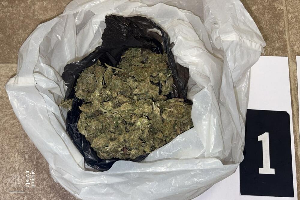 Osumnjičeni za dilovanje droge uhapšen u Ulcinju