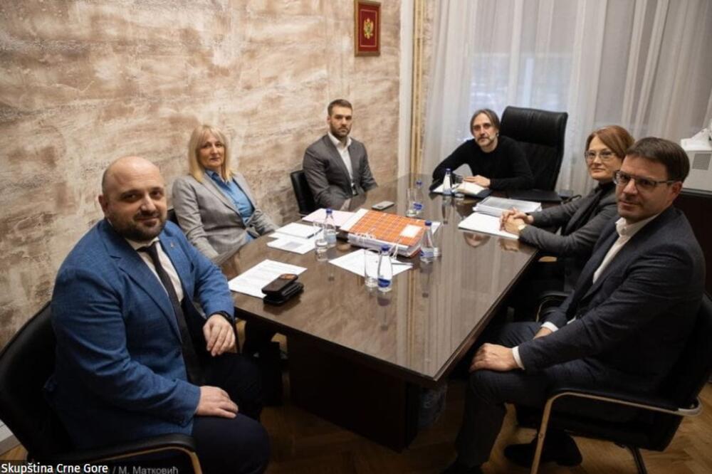 "Pao" i treći konkurs za CIK: Nenezića predložili za šefa, ali kandidati za članove nisu dobili dovoljno bodova