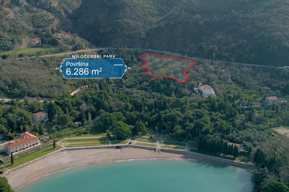 Parcelu prodaju za četiri miliona eura: Prva banka pokušava da se riješi atraktivnog zemljišta u Miločerskom parku
