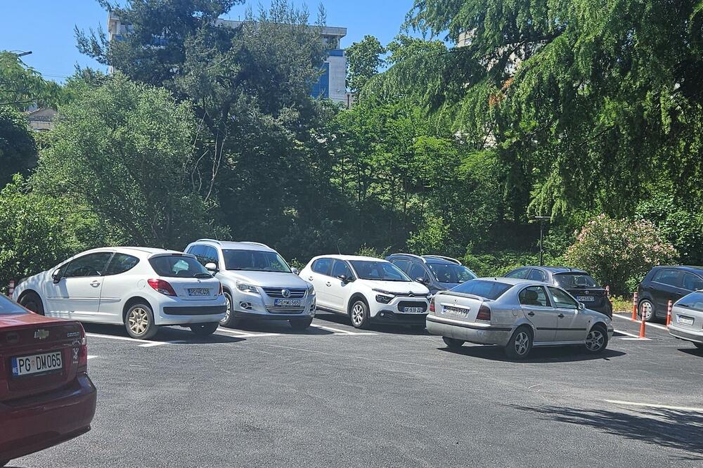 Parkingom zaklonili prilaze Ribnici