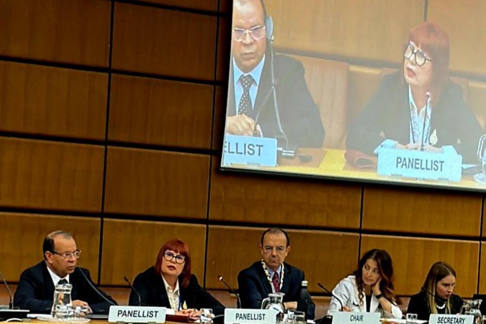 Pavličić: Država koja kontroliše oružje štiti život