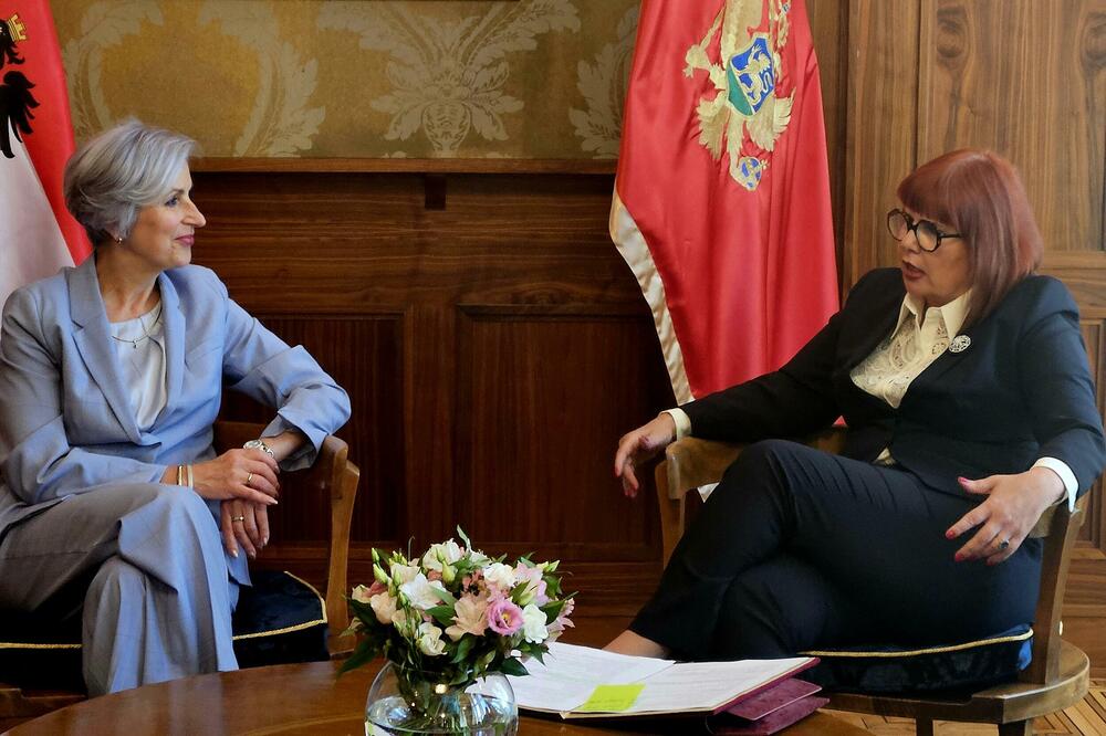 Pavličić s autrijskom ministarkom: Unapređenje vladavine prava i efikasnost pravosudnog sistema prioritet na EU putu