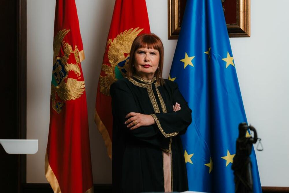 Pavličić: Sudstvo spremno na veting u okviru zakona i Ustava, ne i na ucjene i populističko-interesni proces selekcije