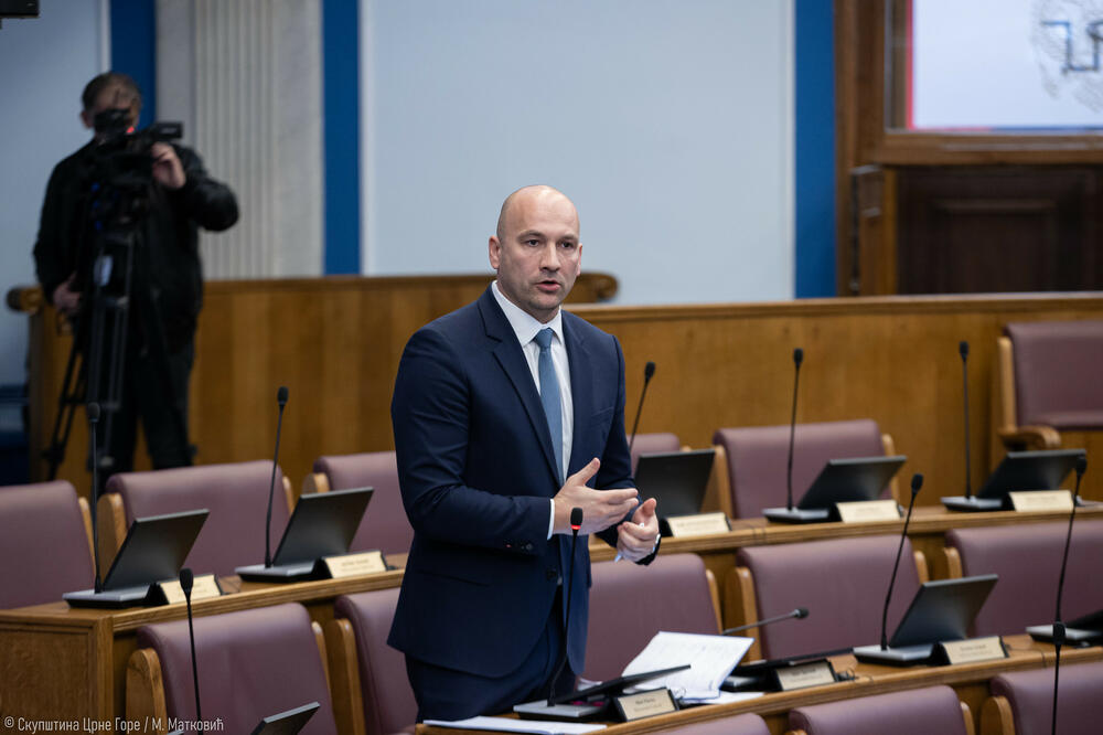 Pižurica o izmjenama zakona o Petrovićima: Držao sam se onoga što je svima bilo prihvatljivo - imovinsko-pravnih odnosa