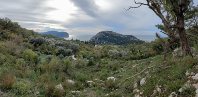 Plac Buljarica