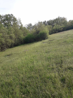 Plac 10000m2, Bandići,8 km od Podgorice