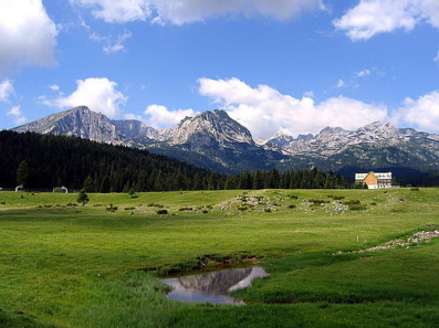 Plac 2200m2, Palež, Žabljak, Prodaja