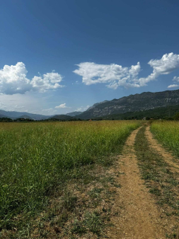 Plac, 4000m2, Slap, Danilovgrad, Prodaja