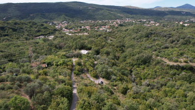 Plac 1136m2 u Kotoru,Radanovići