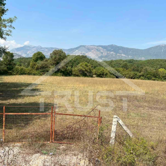 Plac 13000m2, Ulcinj, Prodaja