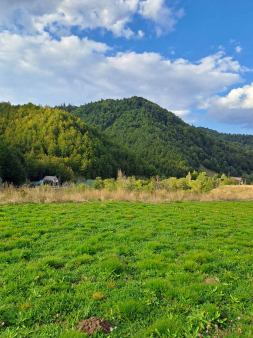 Plac 10000m2, Verusa, Podgorica, Prodaja