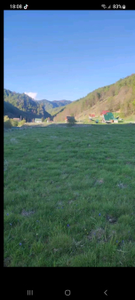 Plac, 10000m2, Veruša, Prodaja