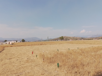 Plac u blizina mosta Luča