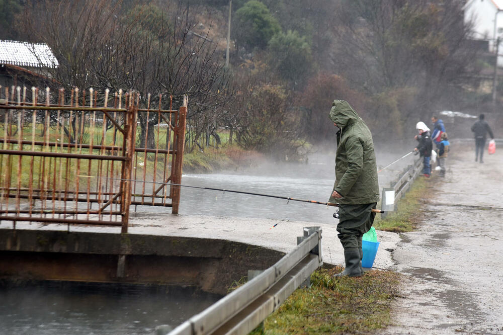 &bdquo;Plantaže&rdquo;: Ne kradite našu ribu