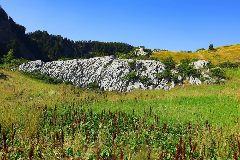 Plavljanin osumnjičen da je na državnom zemljištu, u Nacionalnom parku Prokletije, počeo da gradi objekat