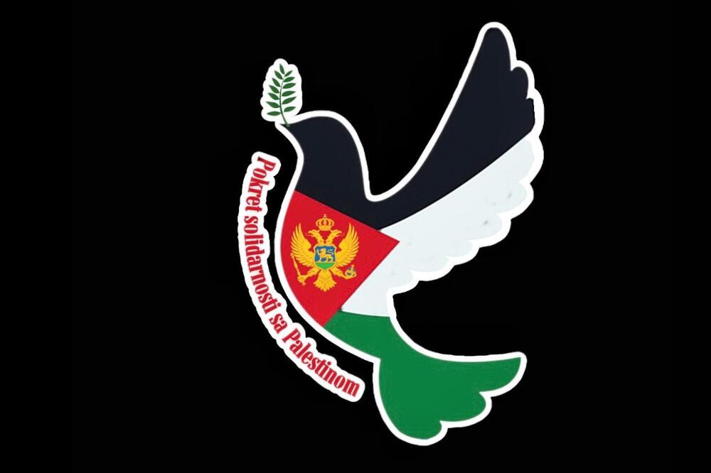 Pokret solidarnosti sa Palestinom: Politička kolaboracija Skupštine sa režimom koji sprovodi etničko čišćenje