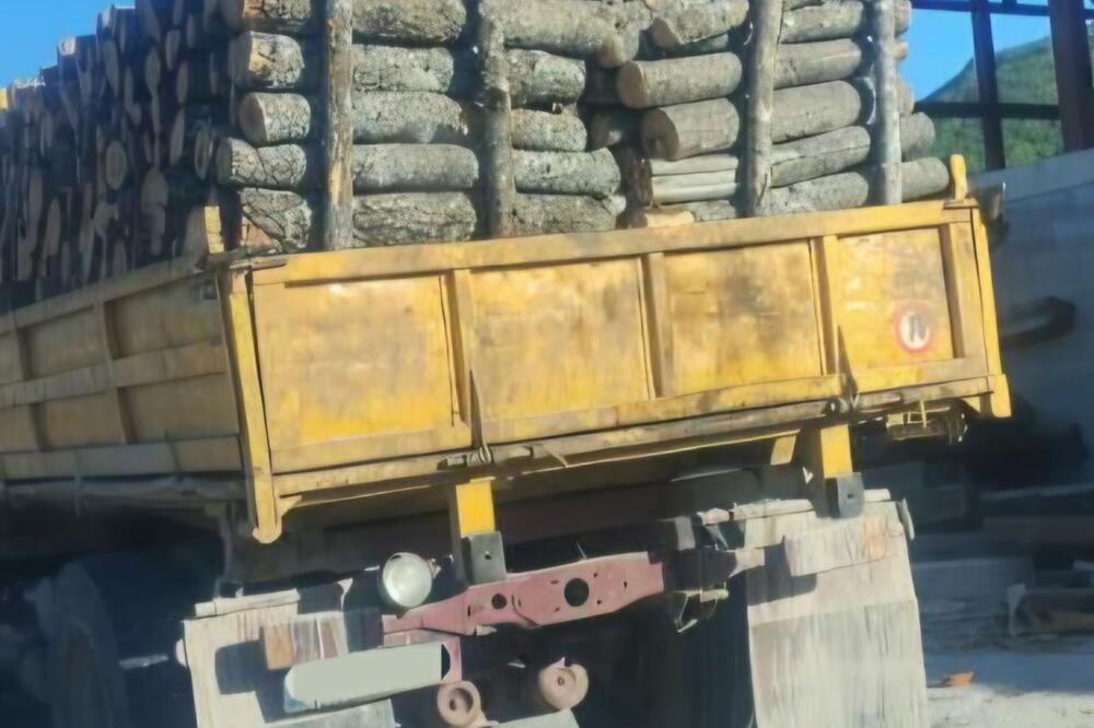 Policija najavila krivičnu prijavu: Nikšićanin osumnjičen za šumsku krađu