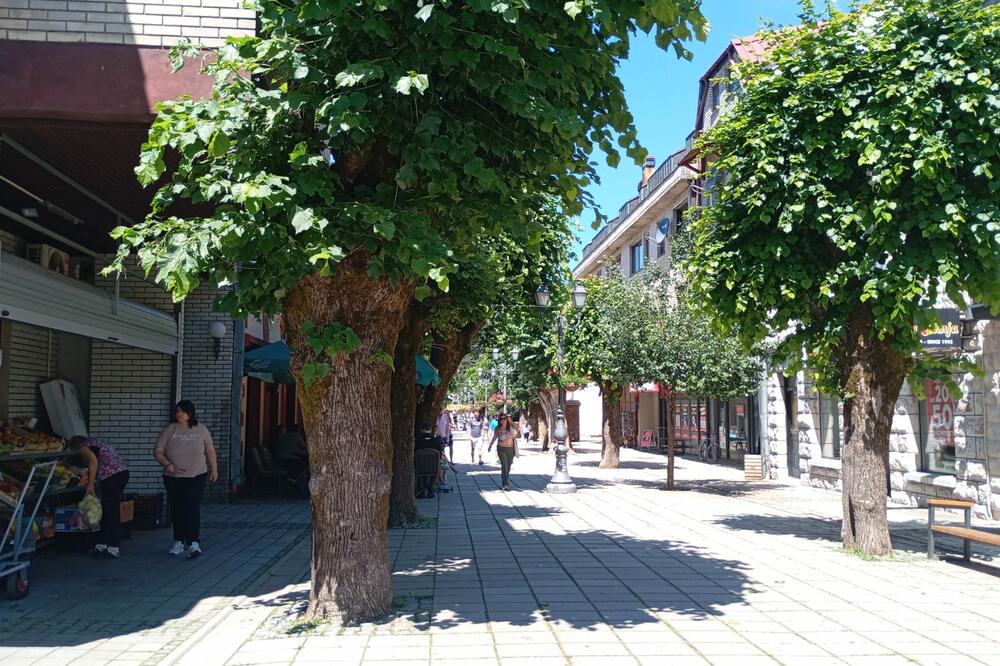 Dojave mještana da je Balijagić viđen u kolašinskim selima bile dezinformacije, policija provjerila svaku